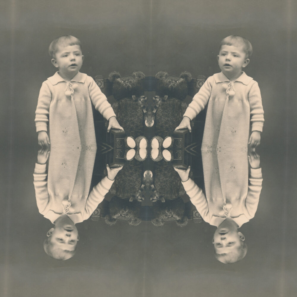 generationtransmission_bear_siebauer