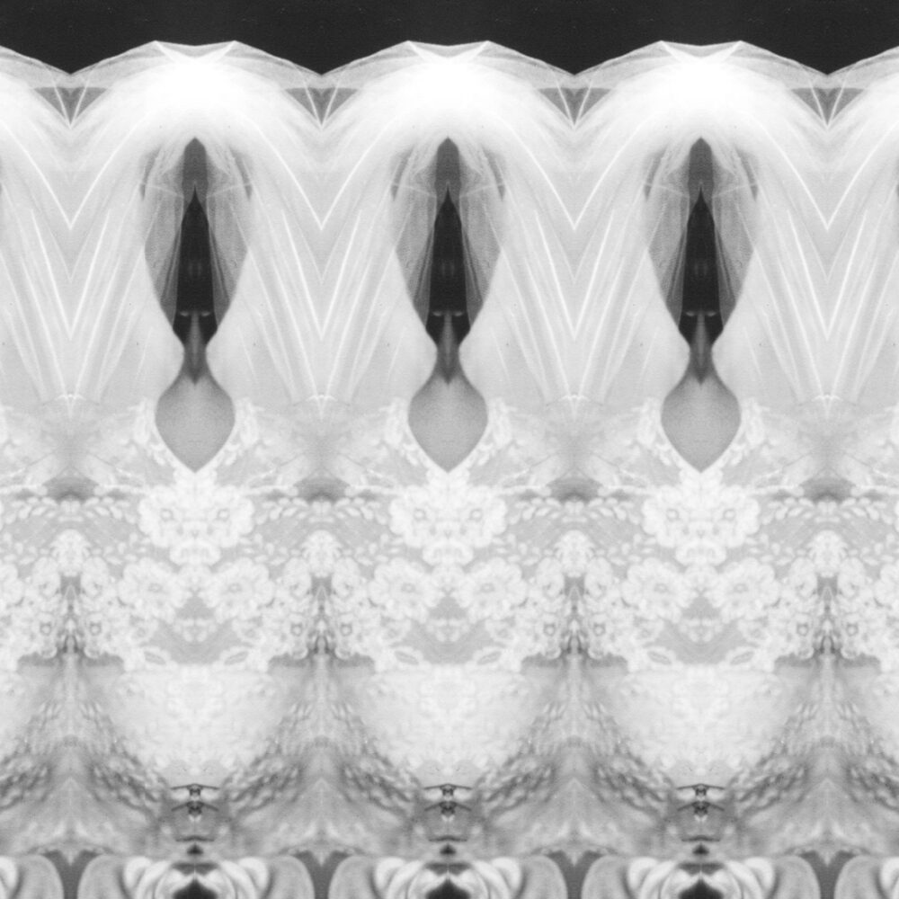 generationtransmission_marriage_siebauer